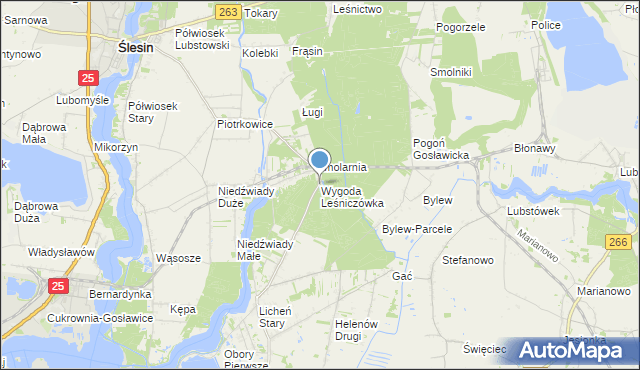 mapa Wygoda Leśniczówka, Wygoda Leśniczówka gmina Ślesin na mapie Targeo